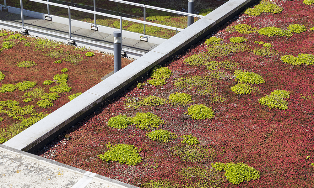 Impermeabilización cubierta verde
